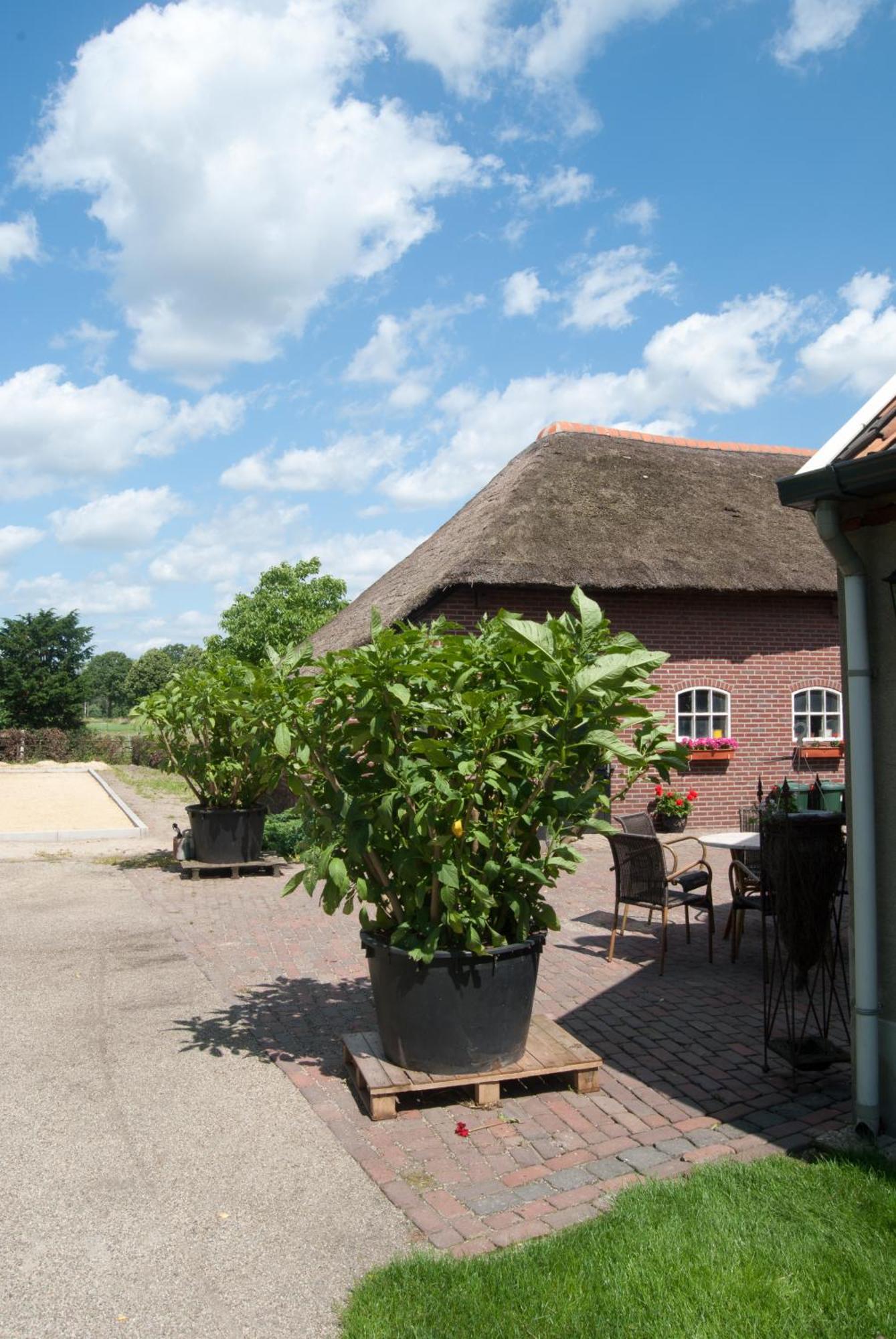 De Martiene Plats - Bed & Breakfast Merselo ภายนอก รูปภาพ